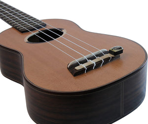 Ukulele için Manyetik UK-1